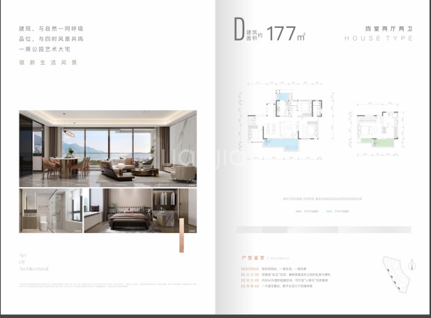 D177 户型图