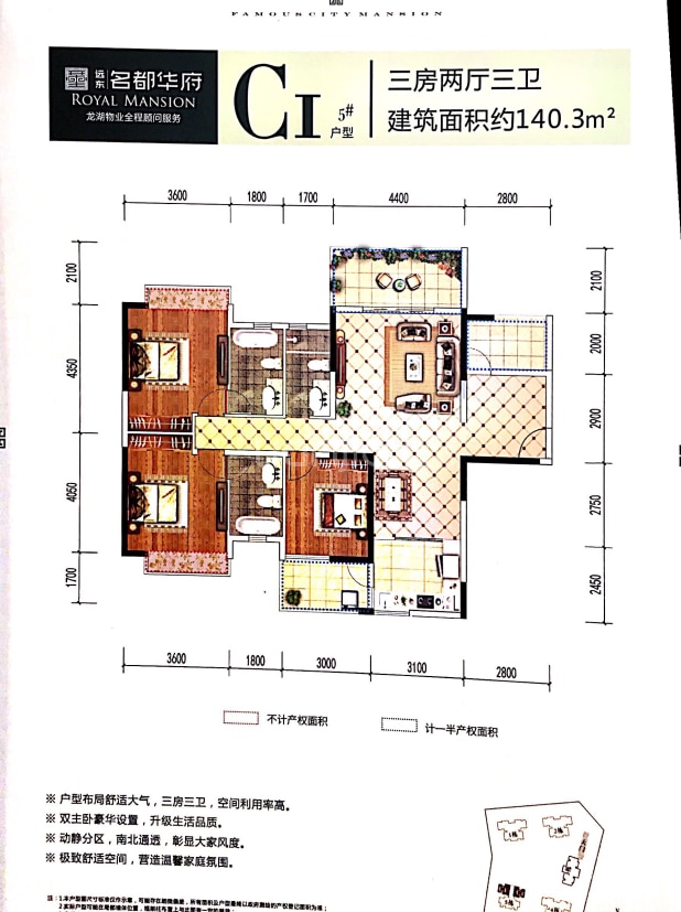 C1户型 户型图