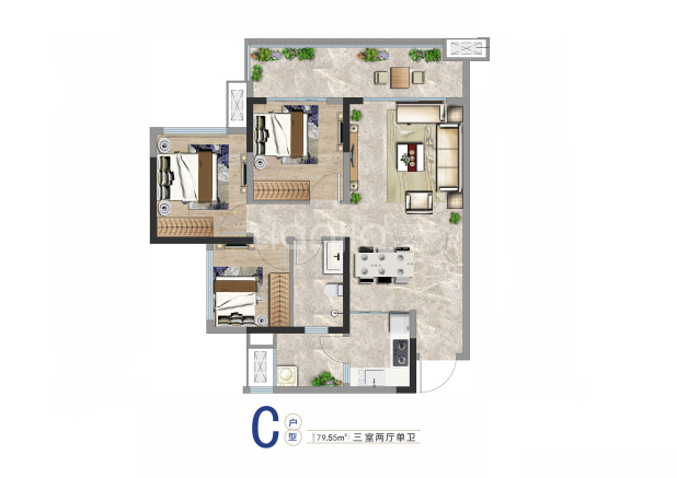 C户型 户型图