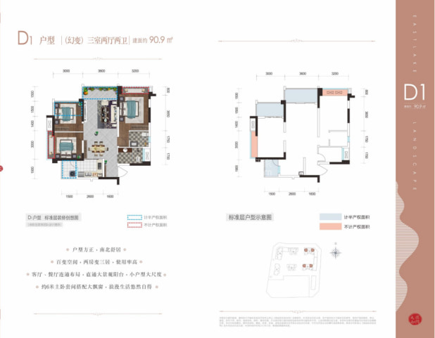 D1户型 户型图