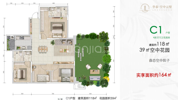 C1 户型图
