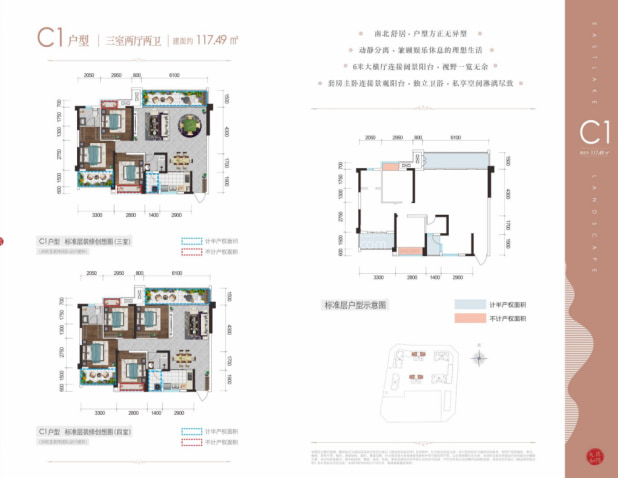 C1户型 户型图