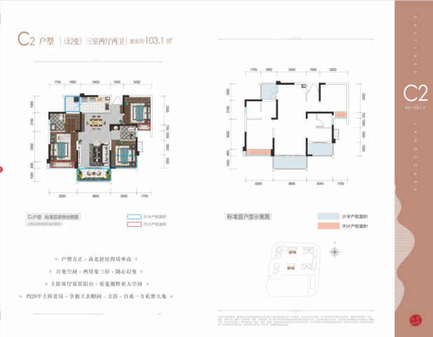 C2户型 户型图