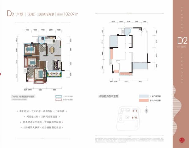 D2户型 户型图