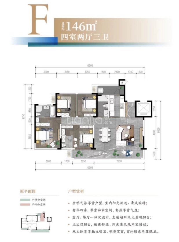 F 户型图