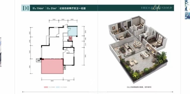 D1 户型图