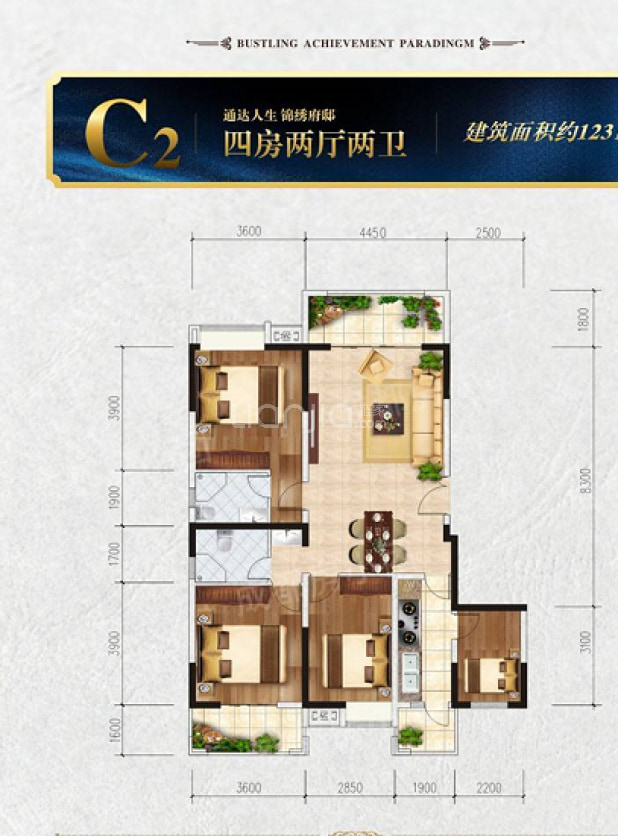 C2户型 户型图