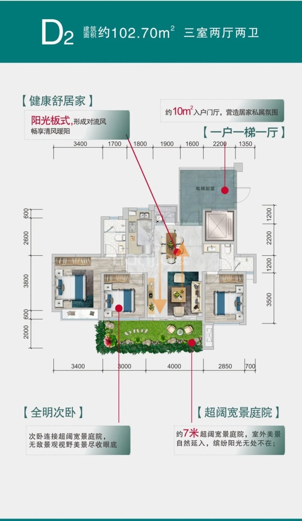 D2 户型图