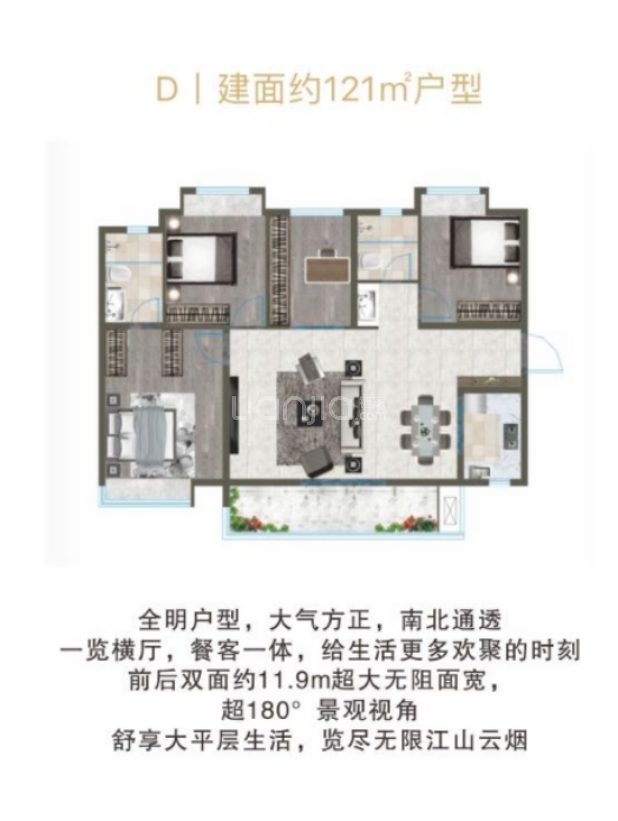 D 户型图