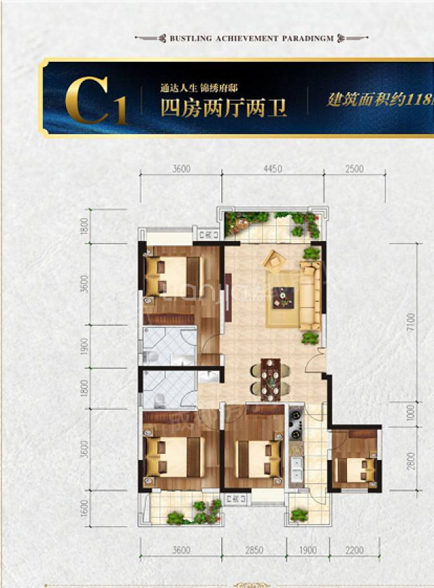 C1户型 户型图