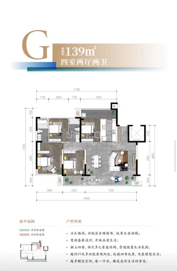 G 户型图