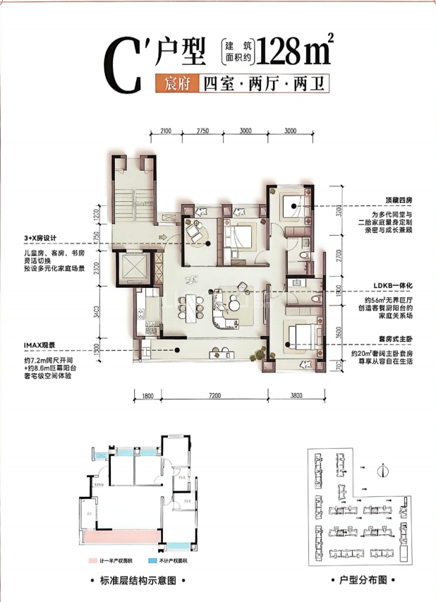 C 户型图