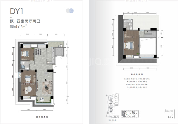DY1 户型图