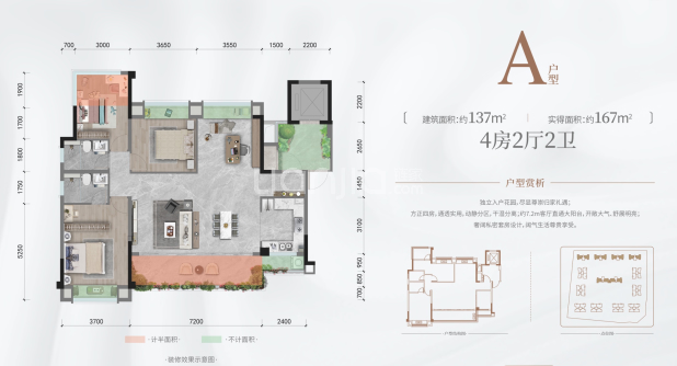 A户型 户型图