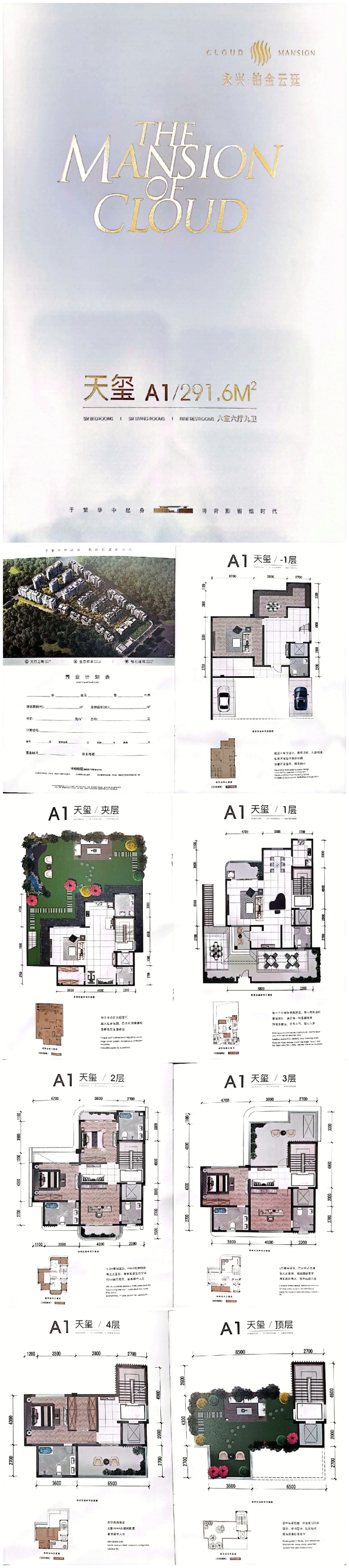 A1 天玺 户型图