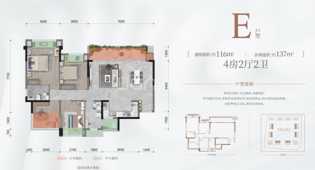 E户型 户型图