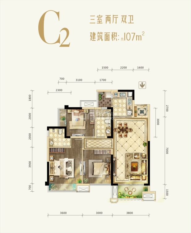 C2户型 户型图