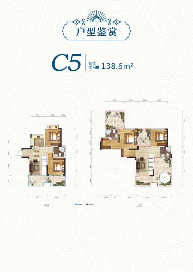 C5户型 户型图