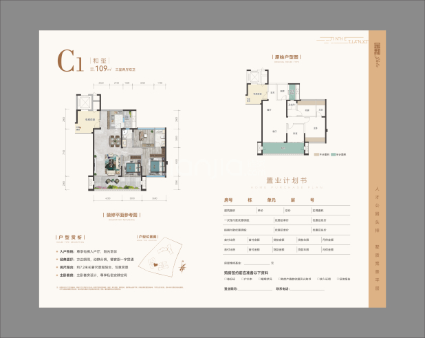 C1户型 户型图