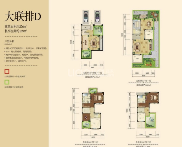大联排D 户型图