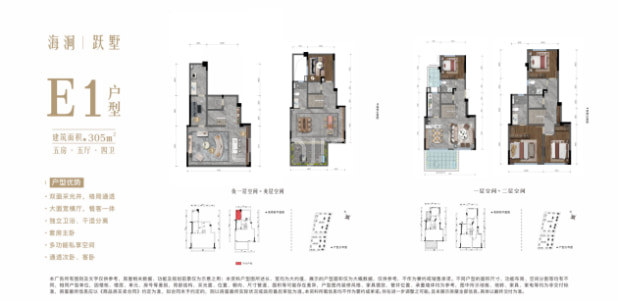 洋房跃墅 305㎡ 五房五厅四卫 户型图