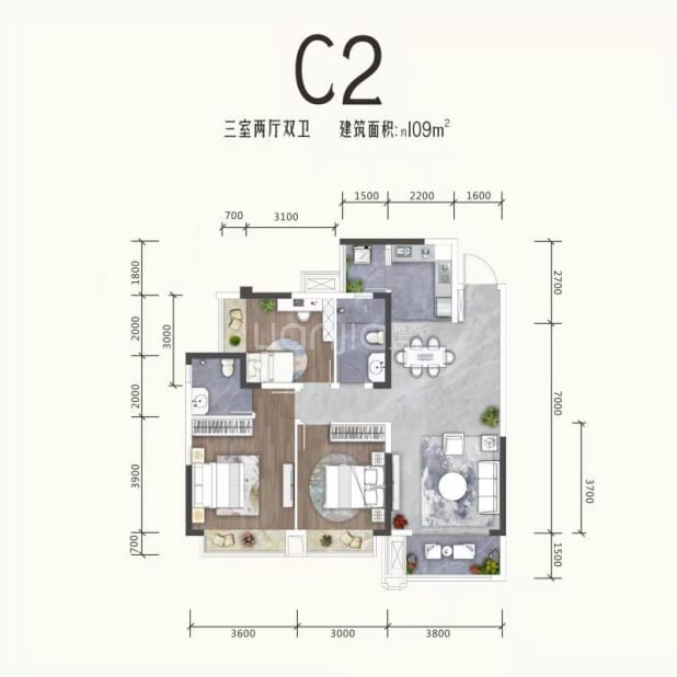 C2 户型图