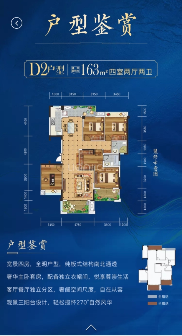 D2户型 户型图