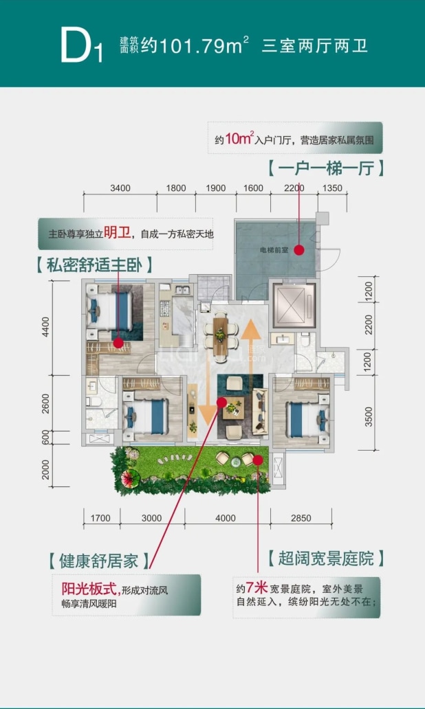 D1 户型图
