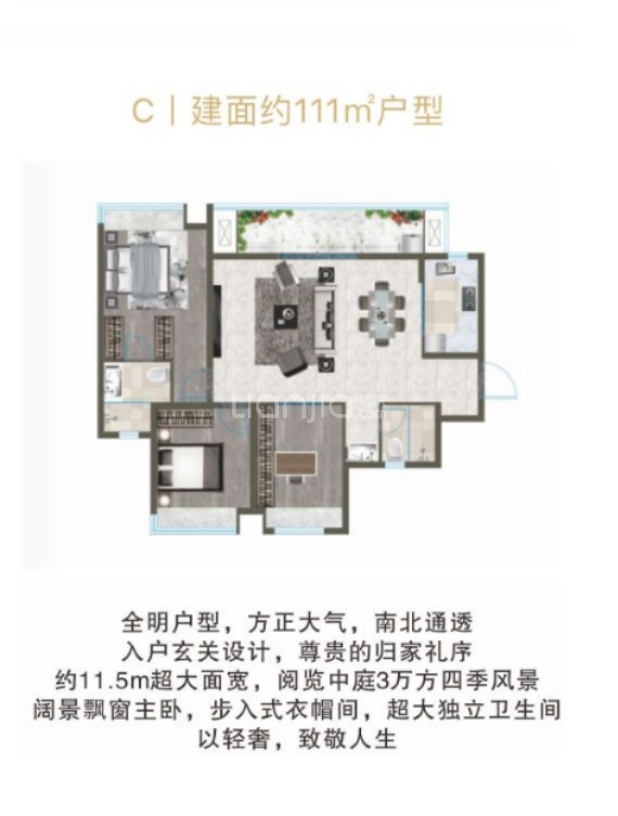 c 户型图