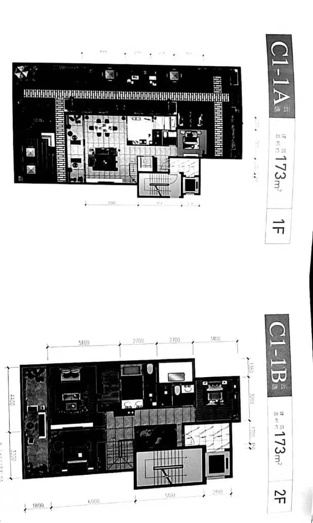 C1 户型图