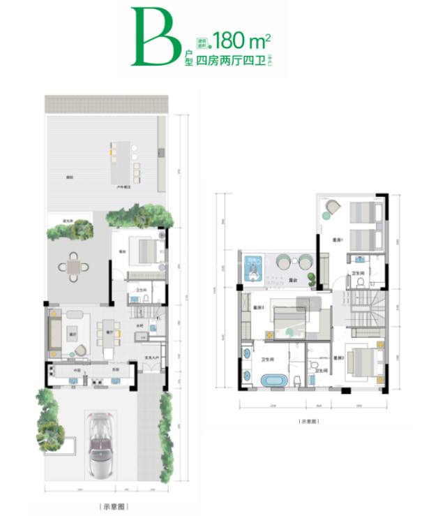 B户型 户型图