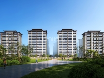 杰阳天成