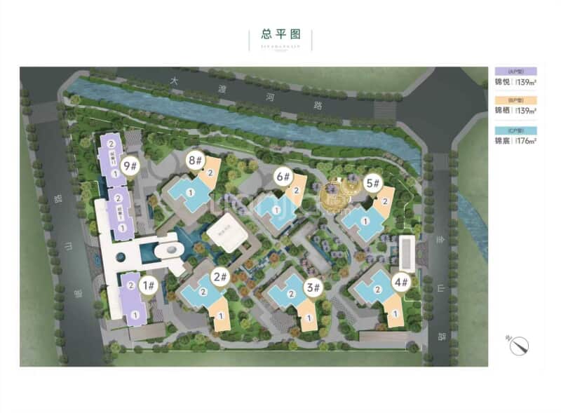 锦江锦上锦