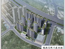 华天杉河