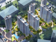 万向紫气东来