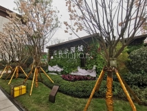 阳光中心城三区